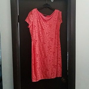 NEW Tiana B Scoopneck Short Sleeve Lace Dress 